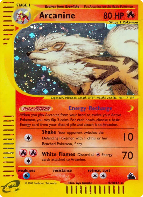 Arcanine - Skyridge