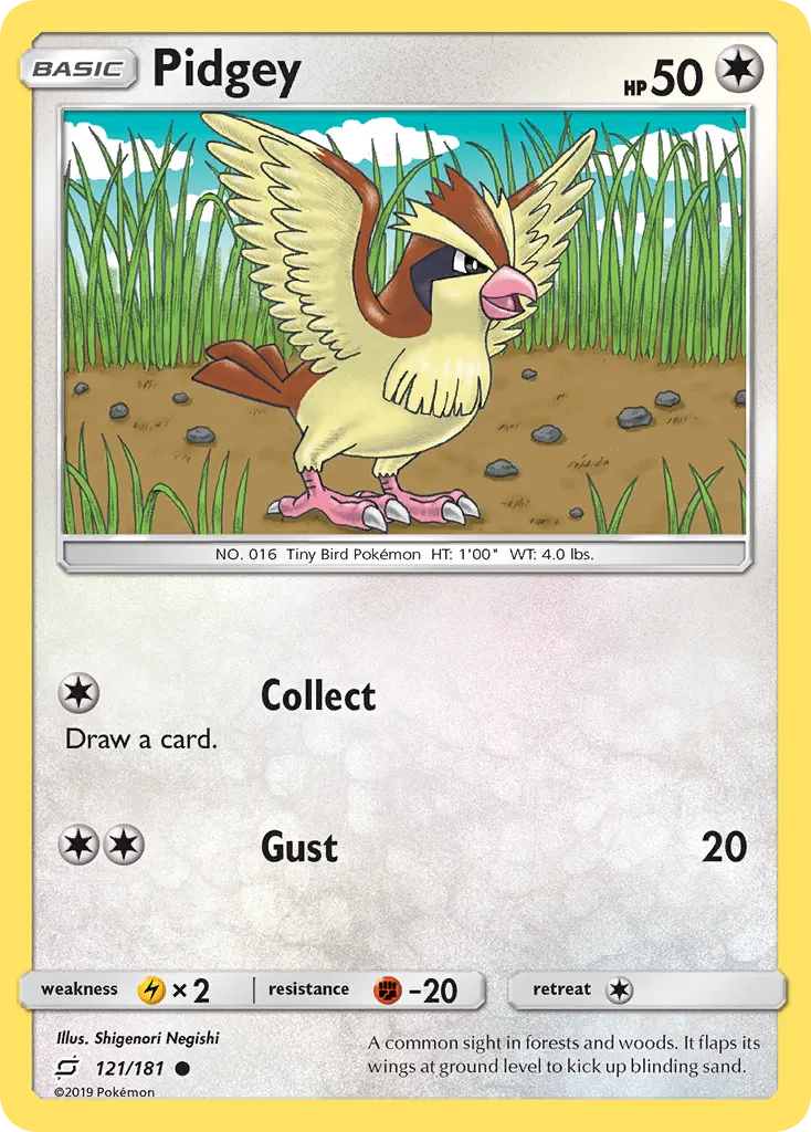 Pidgey - Team Up