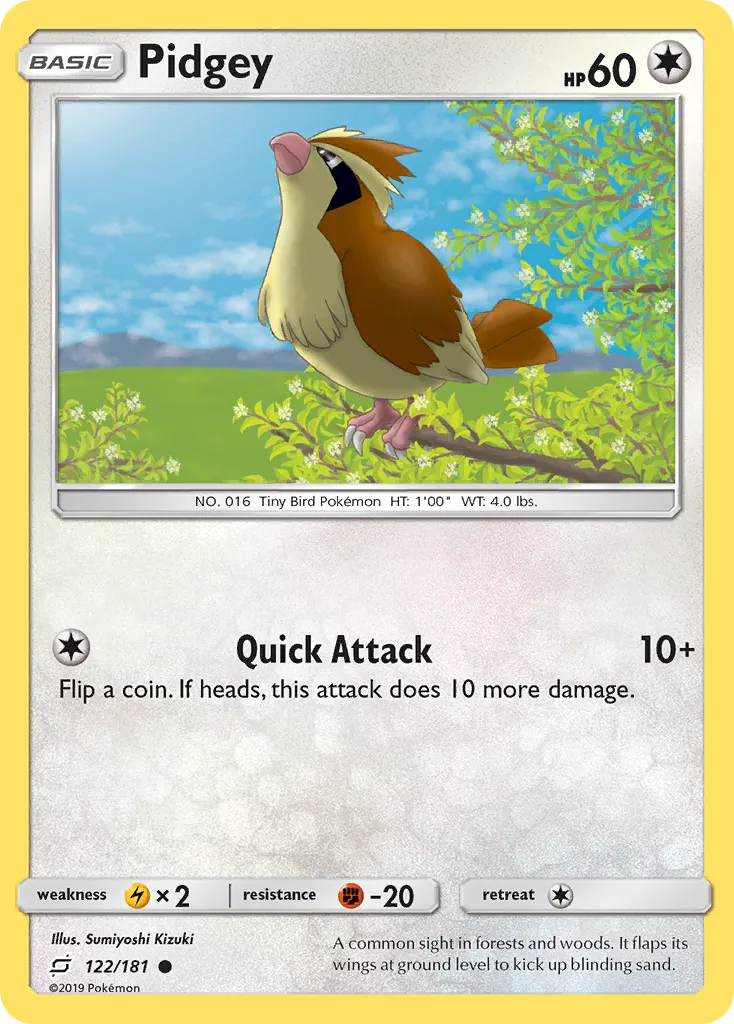 Pidgey - Team Up