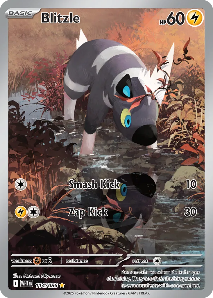 Blitzle - White Flare