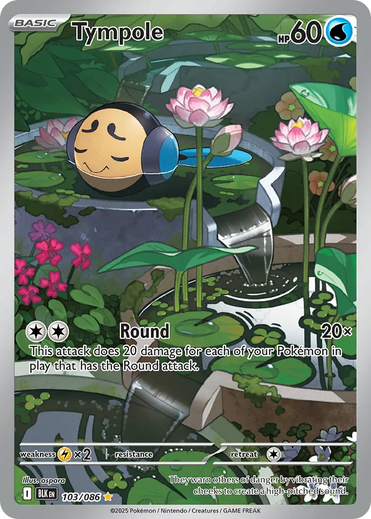 Tympole - Black Bolt