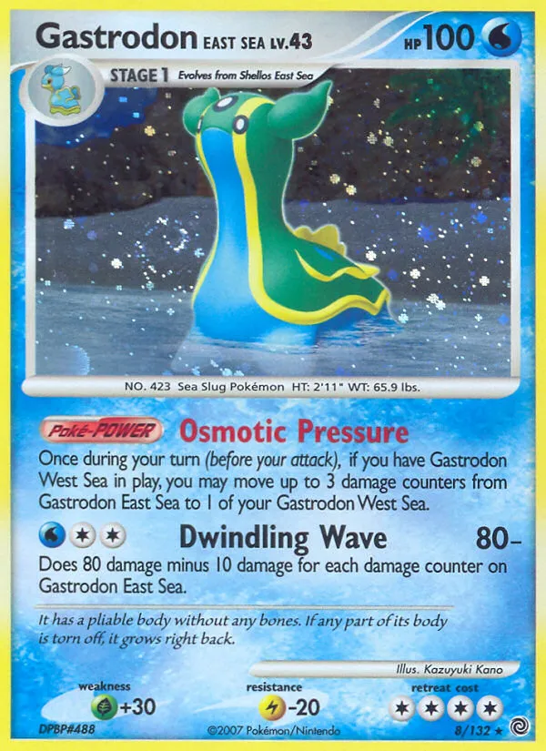 Gastrodon East Sea - Secret Wonders