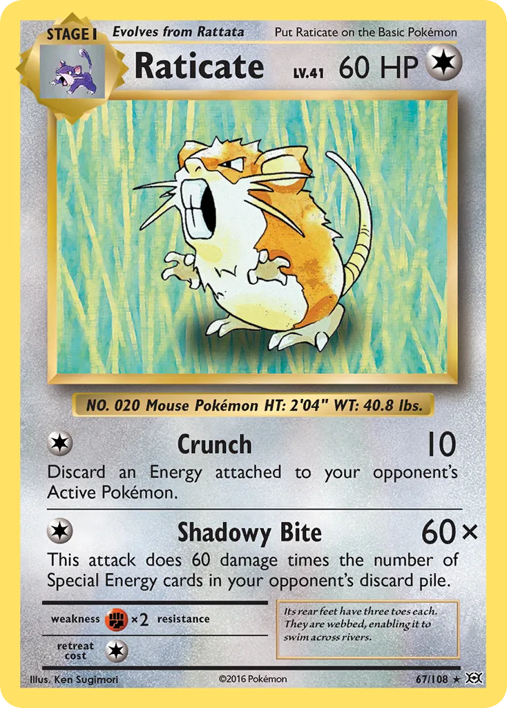 Raticate - Evolutions