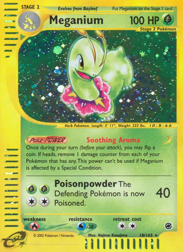 Meganium - Expedition Base Set
