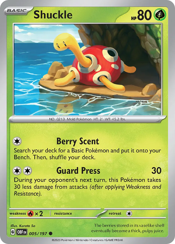 Shuckle - Obsidian Flames