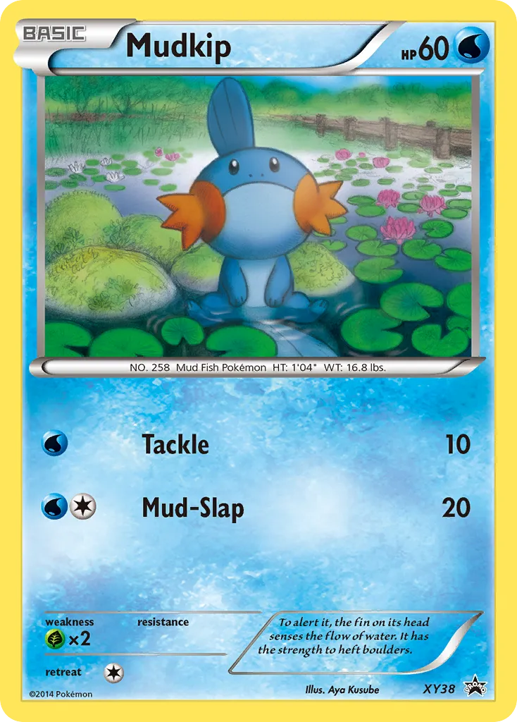 Mudkip - XY Black Star Promos