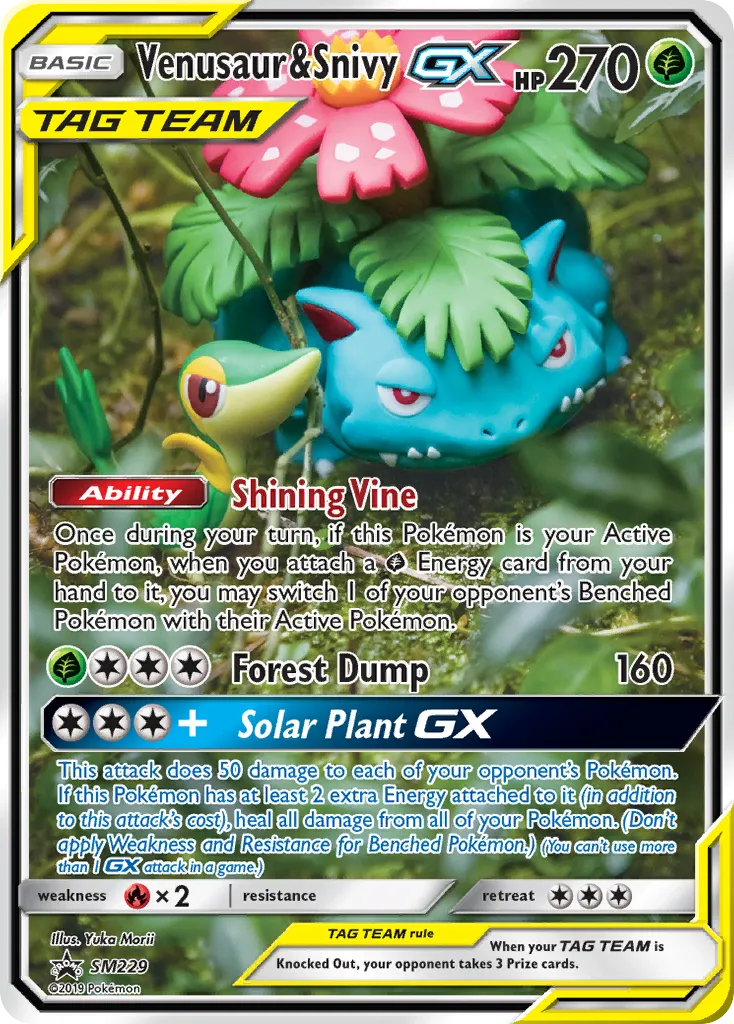 Venusaur & Snivy-GX - SM Black Star Promos