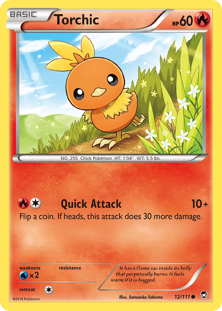 Torchic - Furious Fists