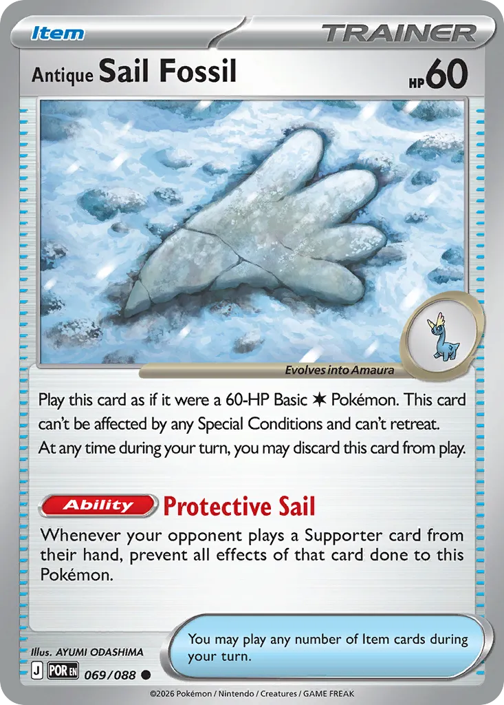 Antique Sail Fossil - Perfect Order